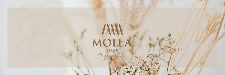 モーラ 鳳店(MOLLA)のサロンヘッダー