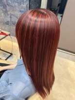 ペッツ プロフェッショナル(PETZ PROFESSIONAL)&nbsp;ハイライトカラー×原色レッド