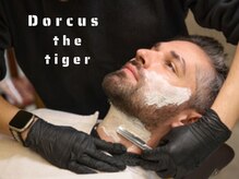 ドルクスザタイガーリヨウシツ(Dorcus the tiger)