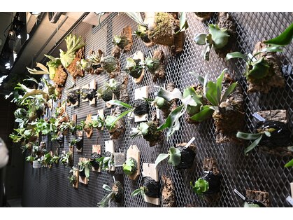 ウル ララス 二子玉川(uru laras)の写真