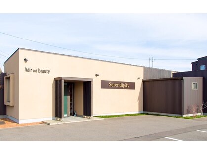 セレンディピティ(Serendipity)の写真