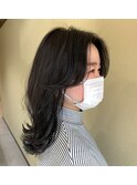 透ける【暗髪】韓国風レイヤー