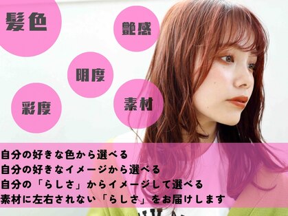 リーク(LEEK)の写真