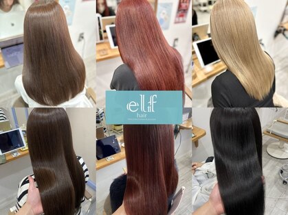 エルフグローリー(elf -glory-)の写真
