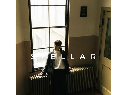 ステラ(stellar)の写真