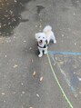メルドゥ(Mel deux)&nbsp;休みの日は愛犬とお散歩したりダラダラしたり…