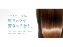 ヘアカラーしてもツヤと手触りに自信あり！