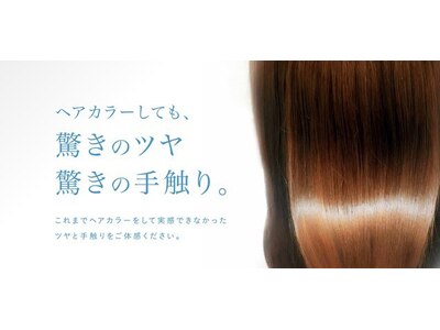 ヘアカラーしてもツヤと手触りに自信あり！