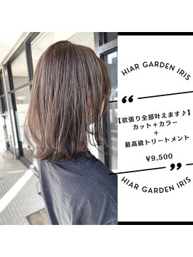 アイリス(IRIS) 【アッシュブラウン】