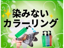 フォルツァの雰囲気（染みないカラーリングが大好評♪【牛久市、つくば市】）