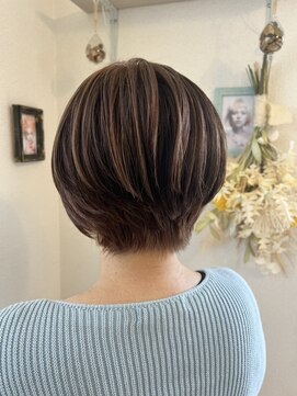 KMR セクションカラー