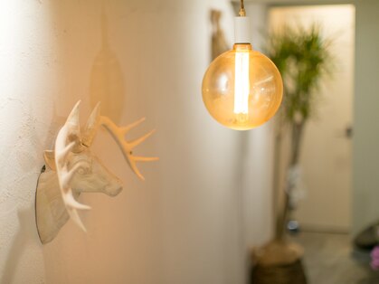 ディーゾーンプラス(D-ZONE+)の写真