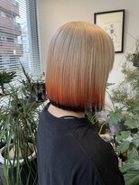 ノリト(norito)&nbsp;デザインカラー×フォックスカラー