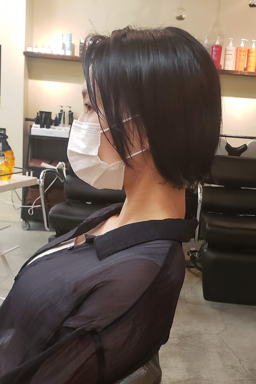 主張のため早めの取り引き希望オクペリカリア　パキプスベアルート　ミニプスカルス ベアルートパキプスの発根管理に密着!!!【BEANSCAUDEXPLANTS