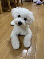 レオヘアワークス(LEO HAIR WORKS) わんちゃんを飼っています!愛犬家の皆様お話ししましょう!!