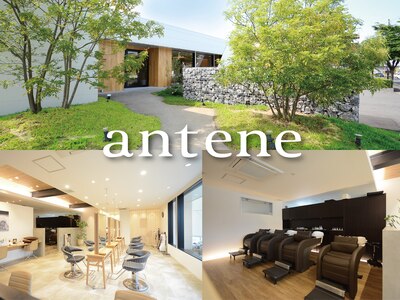 アンティーヌ(antene)