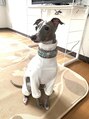 ウル 関内(uru)&nbsp;休みは愛犬ルカと遊んでます！