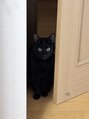 エレノア 吉祥寺北口店(Eleanor) 実家で黒猫飼ってます!動物好きです(*^^*)