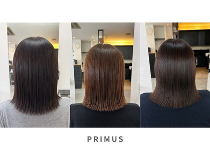 プリームス(PRIMUS)の写真