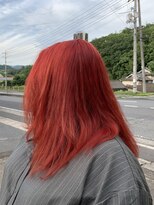 アミーチェ 輝髪ザクロペインター