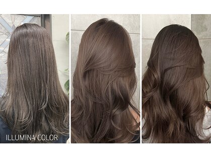 クロップ エス 茅ヶ崎本店(crop es)の写真