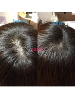 カラーワールド カンナヘアーメゾン(color world canna hair maison)&nbsp;増毛エクステ 500本 ふんわりナチュラル黒髪暗髪