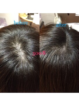 カラーワールド カンナヘアーメゾン(color world canna hair maison) 増毛エクステ 500本 ふんわりナチュラル黒髪暗髪