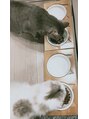 カミビトプラス 香芝店(KamiBito +plus)&nbsp;愛猫♪食いしん坊の2人です(*^_^*)