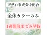 《1週間前までのご予約》全体カラー＋TR　【ミディ￥12300／ロング￥12800～】