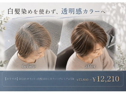 ヴィオラカラー(VIOLLA COLOR)の写真