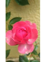 菜の花畑の美容室&nbsp;小林 (KOBA )