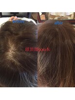 カラーワールド カンナヘアーメゾン(color world canna hair maison)&nbsp;増毛エクステ 頭頂部500本 ふんわりナチュラルブラウン