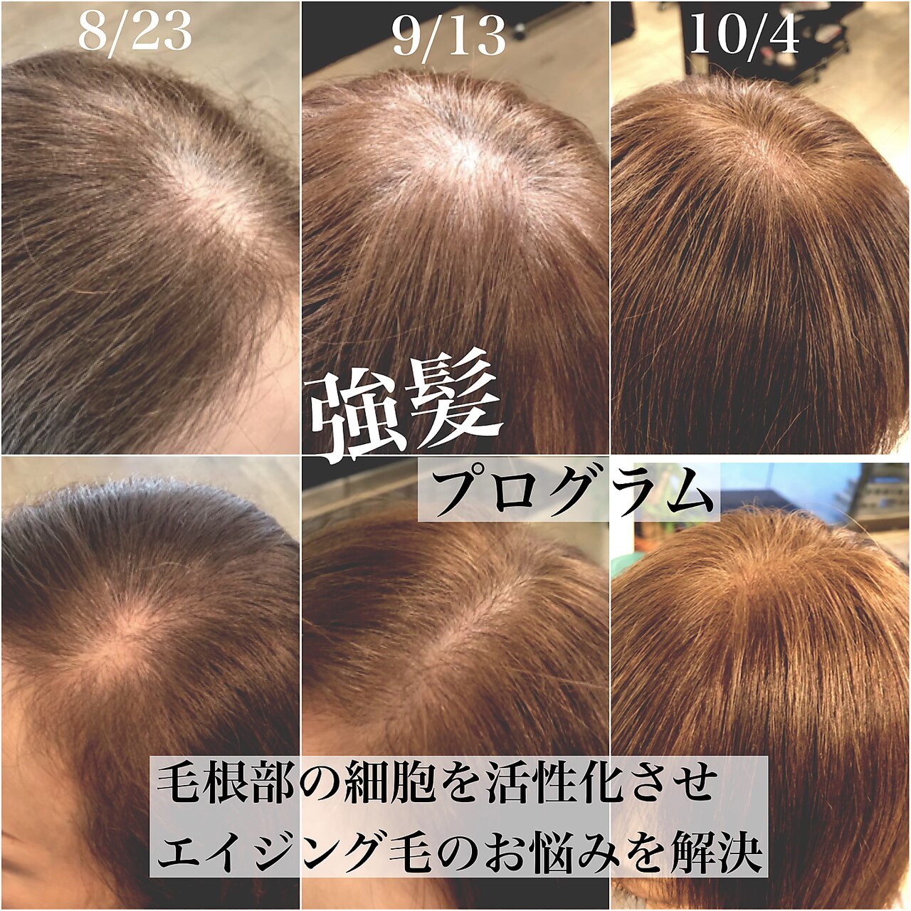 強髪プログラム：L129304208｜ヘアカラー専門店 アフェプラス 香里園店