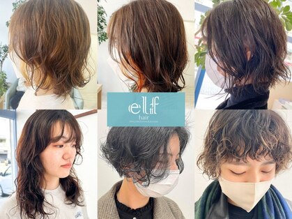 エルフグローリー(elf -glory-)の写真