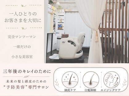 クー(kuu)の写真