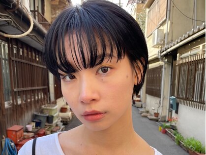 スワッグ(Swag)の写真