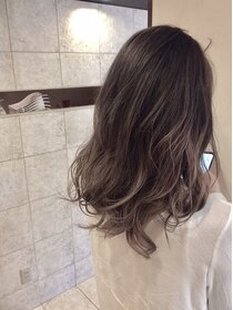 ステラプレミアム(Steller PREMIUM) ＧｒａｙＡｓｈ×Ｇｒａｄａｔｉｏｎ