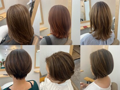 デイトゥデイトゥルーカラーズ(DAY TO DAY true colors)の写真