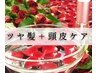 若さを巻き戻すフルコース/エイジングケア＋カラー＋カット￥19800→￥16500