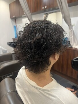 プロ ヘア テック(PRO HAIR TEC) メンズミディアム×波巻きスパイラル