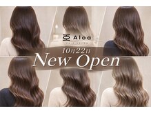 アロア 菊名(Aloa)