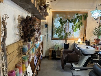 Brown Bunny Orchestra