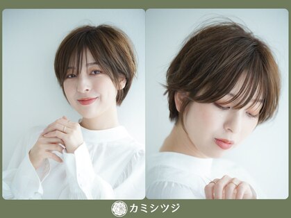 カミシツジの写真