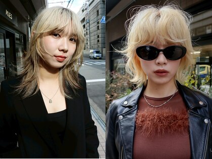 ミース(MIES)の写真