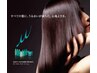 〈美髪セット♪〉シャンプー4STEP(ホームケア）+フォルムカット　5500円