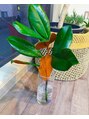 ニナユー(NiNaU) かわいい観葉植物たちを見つけては連れて帰ってきちゃいます^ ^