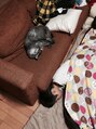 ドルーチェ(Doluce)&nbsp;息子さんと猫さんが同じポーズで寝てます^ ^