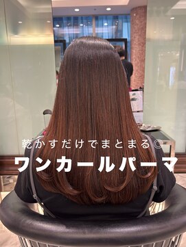 アピッシュ ギンザ(apish ginza) ストカール/ワンカールパーマ/内巻きパーマ/おとなパーマ