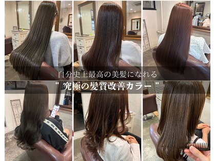 ステディー(Steady)の写真