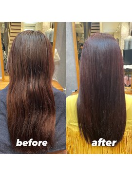 サロン ド アクトレス(salon de actress) カラーファンタジー　2回目　レッドブラウン